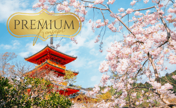 Premium Sakura Dönemi Japonya Turu