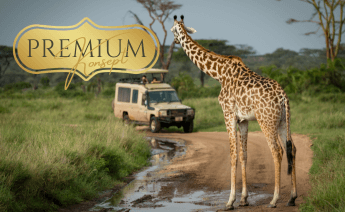 Premium Kenya Tanzanya Zanzibar Turu