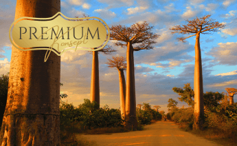 Premium Madagaskar Mauritius Turu