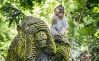 Kurban Bayramı Kuala Lumpur Singapur Bali Turu