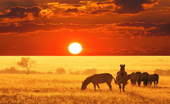 Kurban Bayramı Güney Afrika Turu 