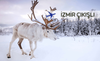 İzmir Çıkışlı Promo Lapland Kuzey Işıkları Turu 3