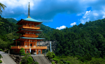 Sakura Dönemi Japonya Güney Kore Turu 2