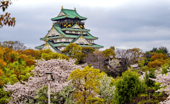 Japonya Güney Kore Turu 2