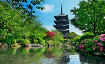 Sakura Dönemi Japonya Güney Kore Turu 4