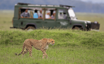 Kurban Bayramı Kenya Safari Turu
