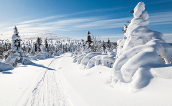 Tüm Turlar Dahil Lapland Turu 