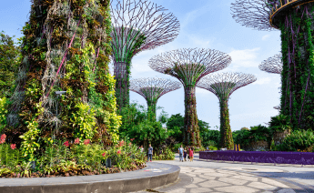 Singapur Kuala Lumpur Bali Turu 5