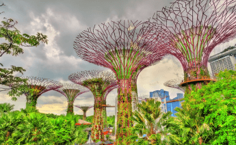 Kuala Lumpur Singapur Bali Turu 2