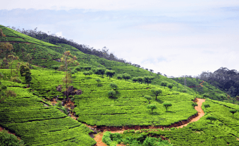 Promo Sri Lanka Turu 3