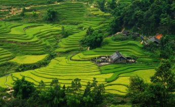 Sömestr Vietnam Kamboçya Turu