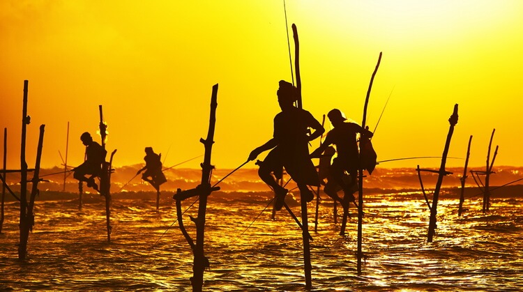 Sri Lanka Balayı Turu