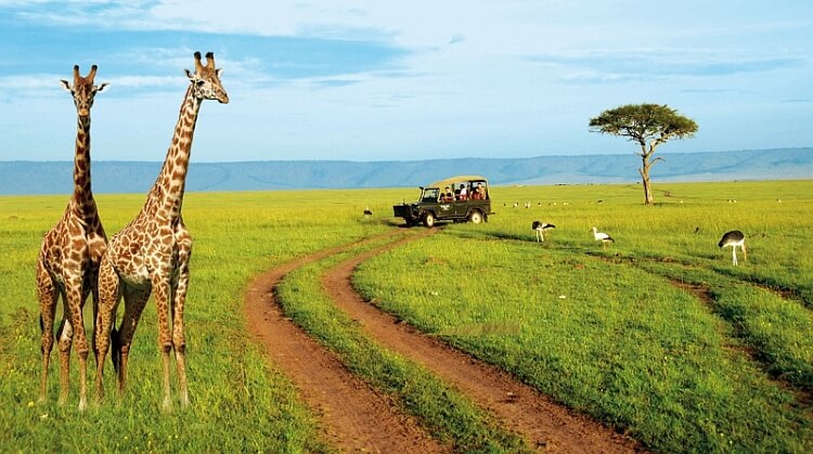 Kenya Safari Zanzibar Turu