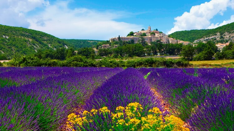 Provence Turu