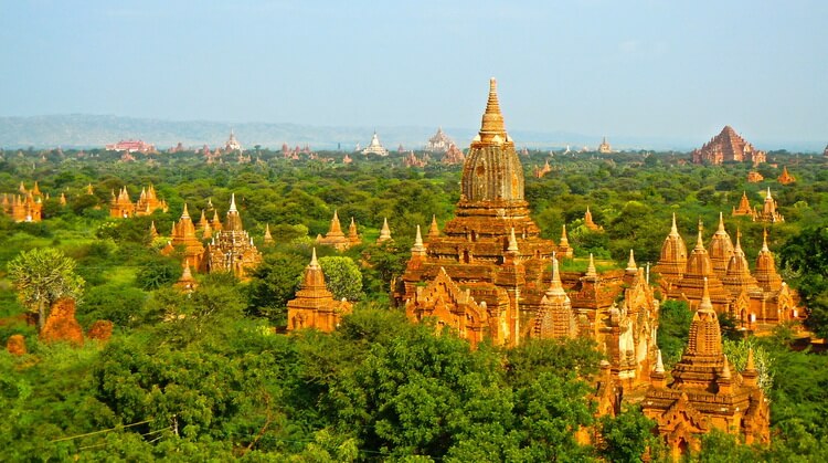 Myanmar Turu