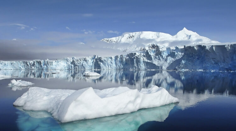 Güney Kutup Adaları ve Antarktika Turu