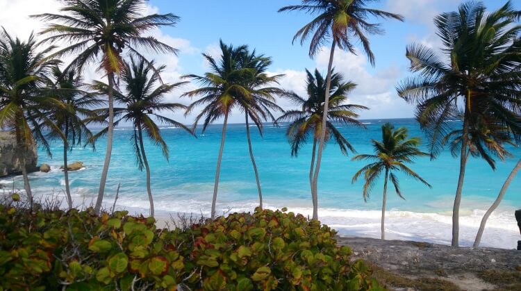 Barbados Turu