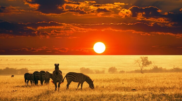 Kurban Bayramı Güney Afrika Turu 