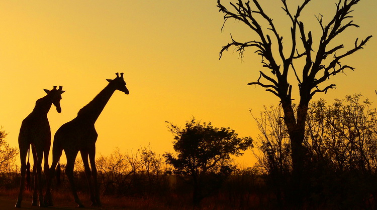 Kurban Bayramı Güney Afrika Turu 2