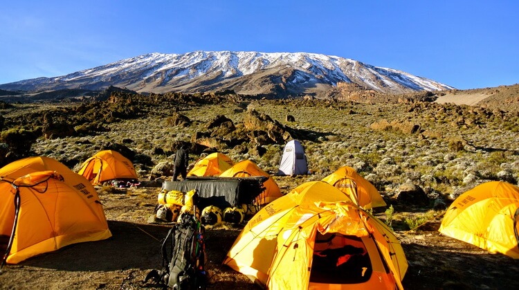 Kilimanjaro Dağı Tırmanışı Turu