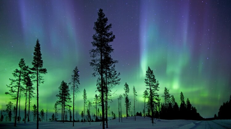 Premium Yılbaşı Lapland Kuzey Işıkları Turu