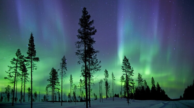 Sömestr Premium Lapland Kuzey Işıkları Turu 