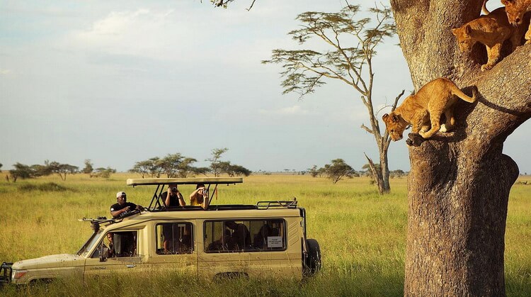 Kurban Bayramı Kenya Safari Zanzibar Turu