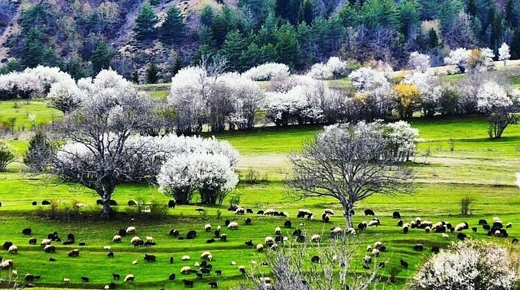 Macahel Şavşat Karagöl Turu