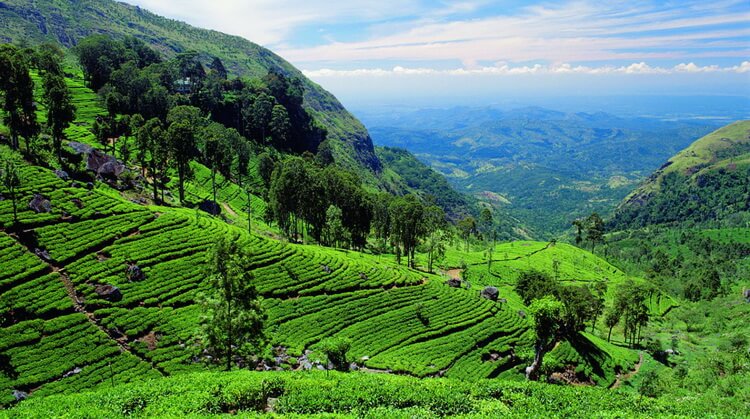 Kurban Bayramı Sri Lanka Turu