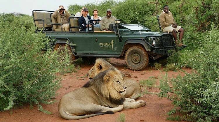 Sömestr Kenya Safari Turu