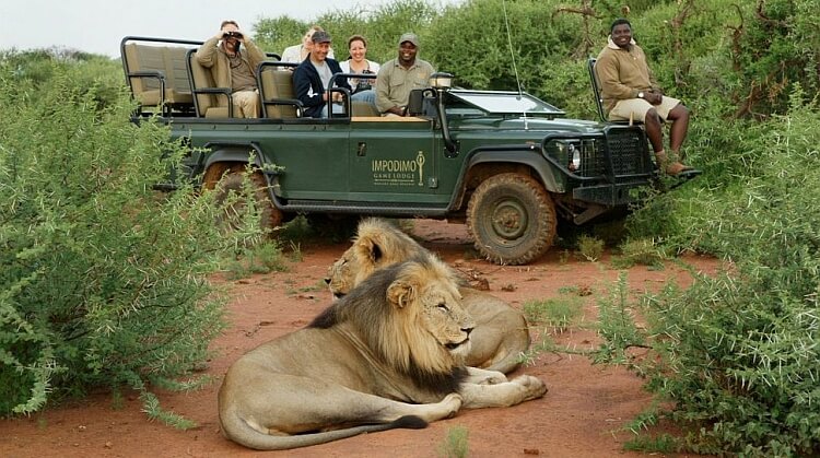 Sömestr Kenya Safari Turu 2