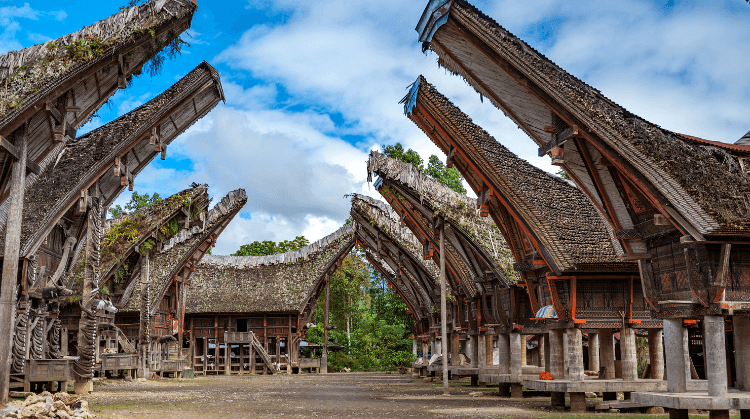 Papua Baliem Vadisi Sulawesi Turu