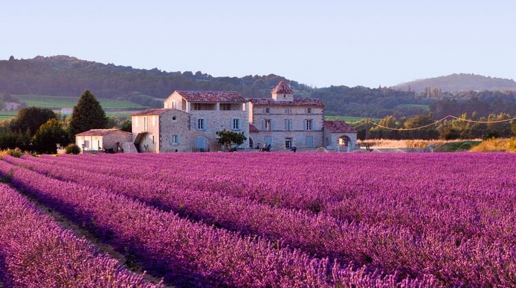 Fransa Provence ve Rhone Vadisi Turu