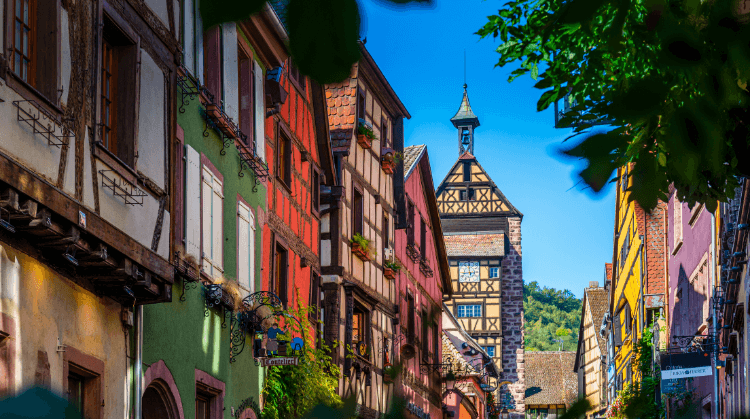 Alsace Strazburg Colmar Turu