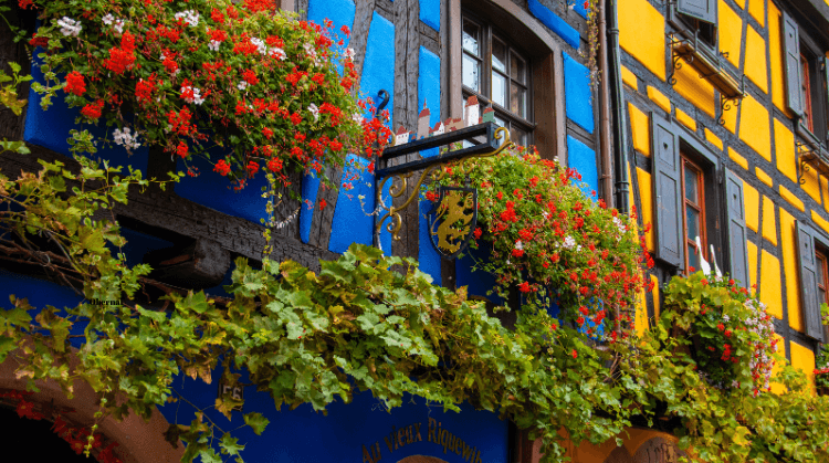 Alsace Strazburg Colmar Turu