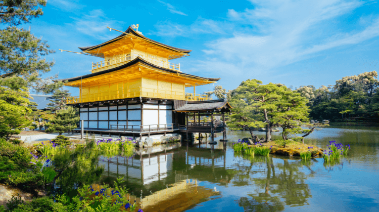 Aoi Matsuri Festival Dönemi Japonya Kore Turu