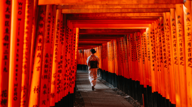 Aoi Matsuri Festival Dönemi Japonya Kore Turu