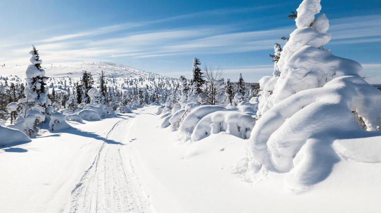 İzmir Çıkışlı Lapland Kuzey Işıkları Turu