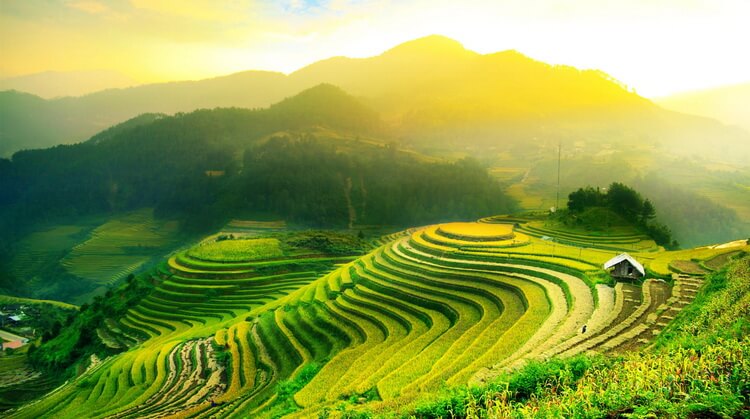 Kurban Bayramı Bali Ubud Turu