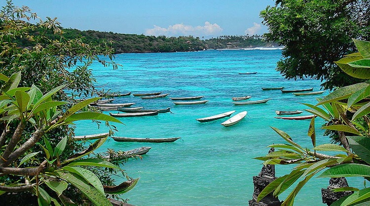 Kurban Bayramı Bali Ubud Turu