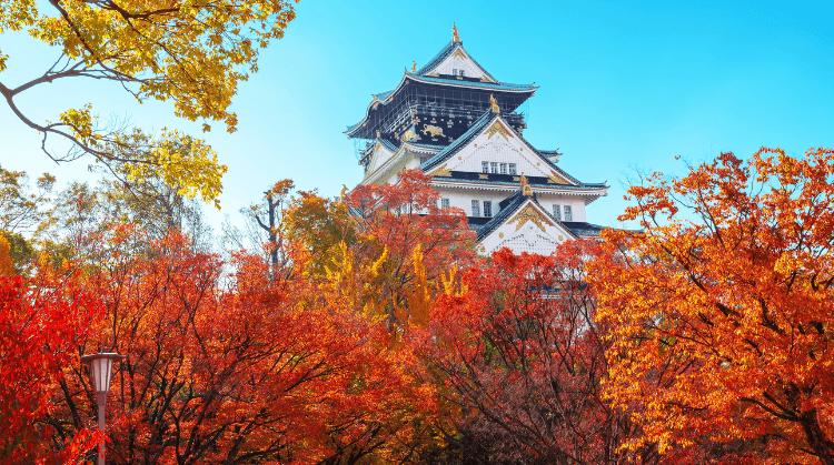 Sonbaharda Koyo Zamanı Premium Japonya Turu