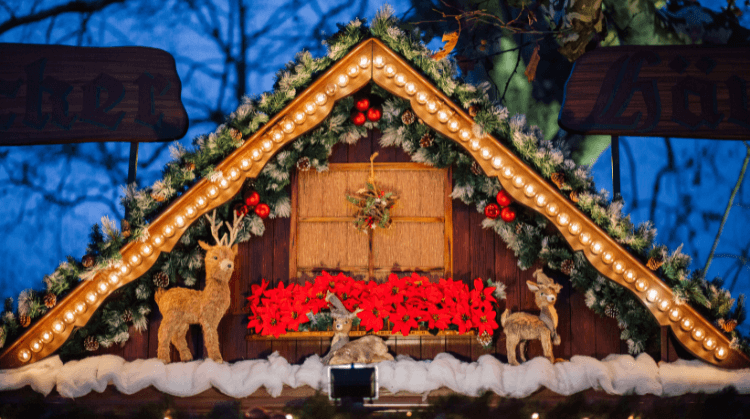 Alsace Strazburg Colmar Noel Pazarları Turu 4