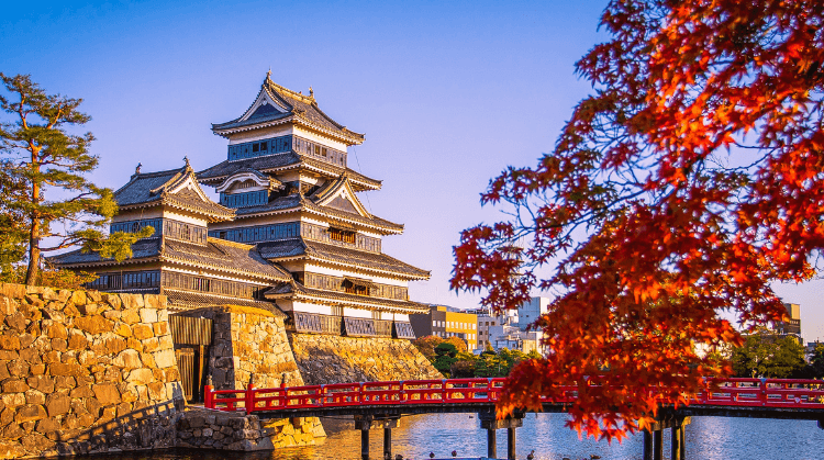 Büyük Japonya Güney Kore Turu