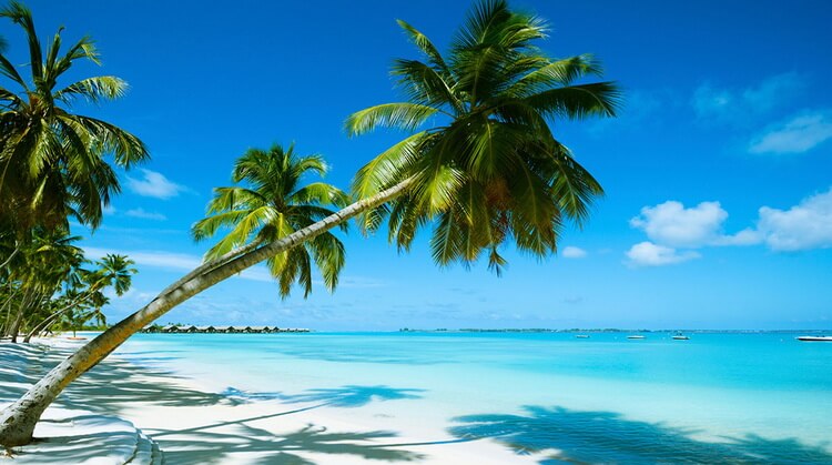 Madagaskar Mauritius Turu