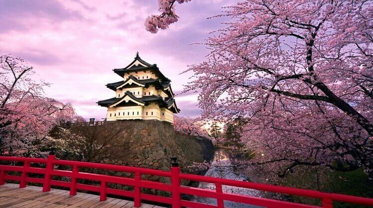 Promo Japonya Turu 
