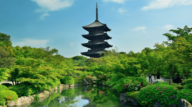Promo Japonya Kore Turu 3