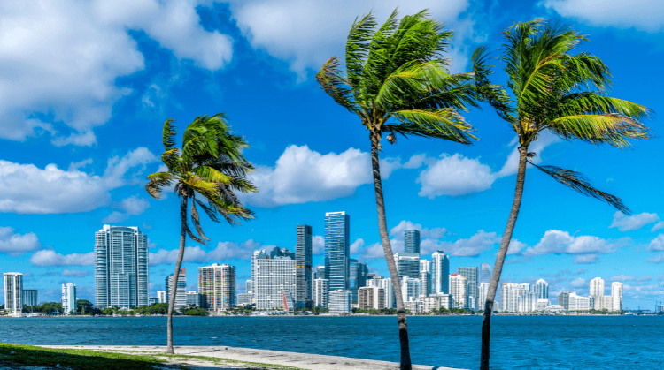 Miami Turu