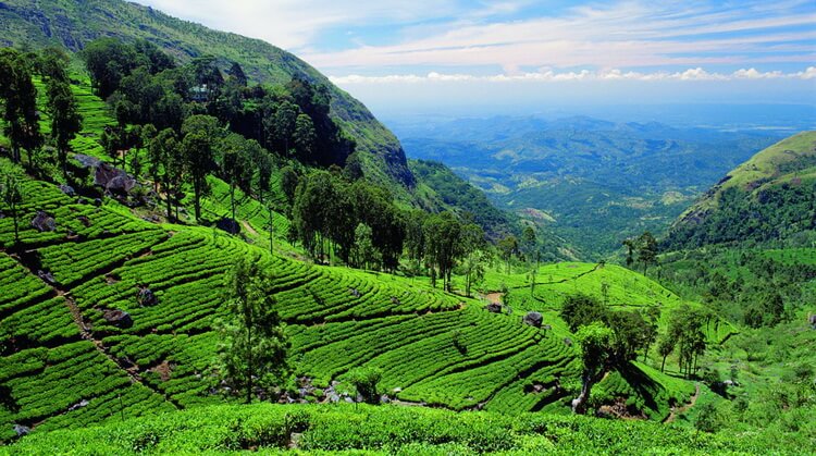 Promo Sri Lanka Turu