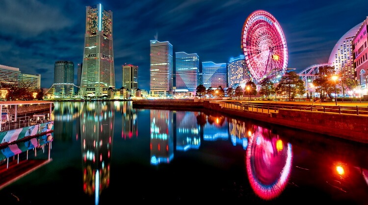 Büyük Japonya Güney Kore Turu 2
