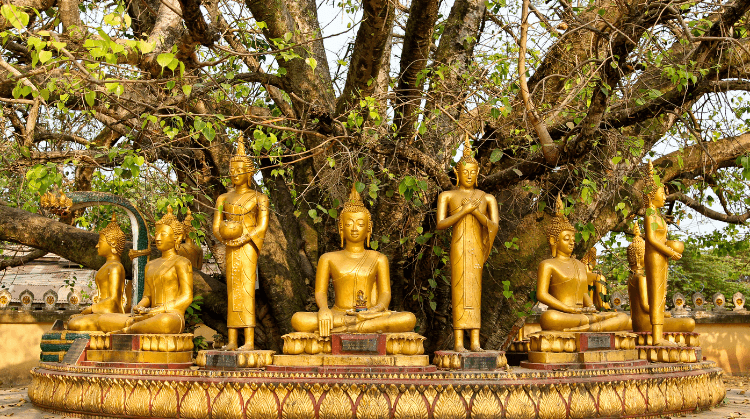 Vietnam Kamboçya Laos Turu 3